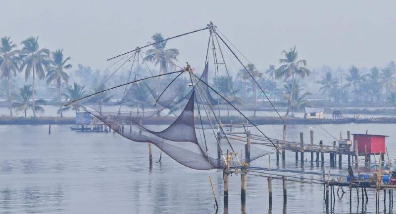 Featured image of post Changaram: Whispers from the wetlands